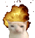 An image of a cat with folded back ears with an animation of an explosion behind it